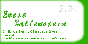 emese wallenstein business card